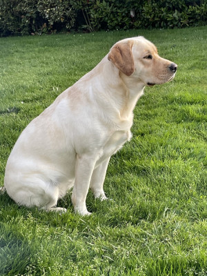 Tess des Bords de l'Aubance
